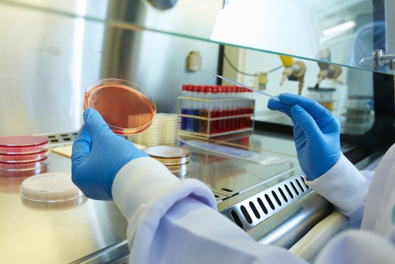 Cargill food & environmental laboratory  